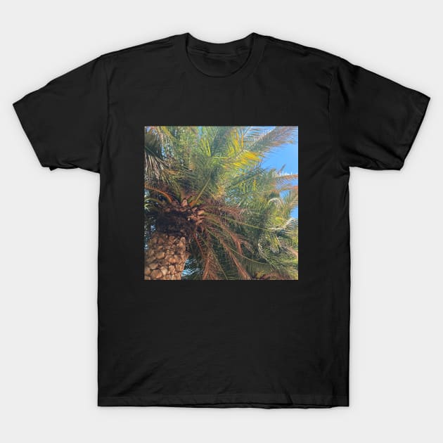 Pretty Palm Tree Photography design with blue sky nature lovers T-Shirt by BoogieCreates